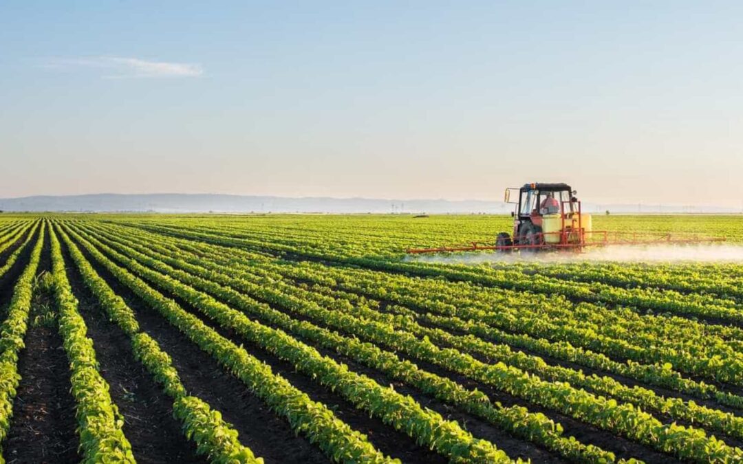 Mundo Rural une-se em manifesto “Por uma alimentação consciente em Portugal”