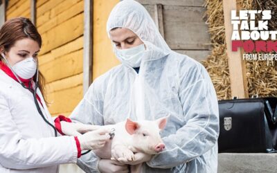 Let’s Talk About Pork From Europe: Suinicultura abre portas à igualdade de género