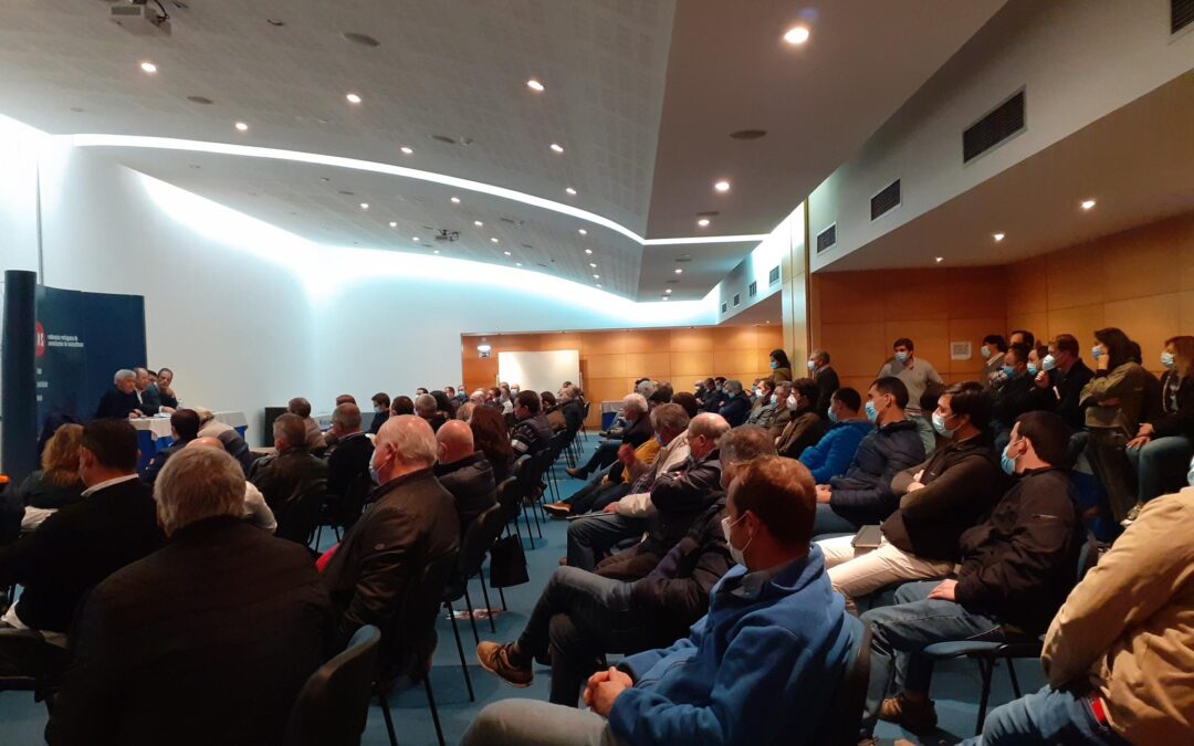 IMINENTE COLAPSO DA SUINICULTURA