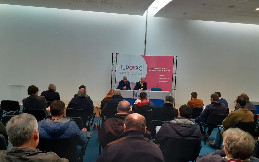 CONCLUSÕES DO PLENÁRIO EM LEIRIA
