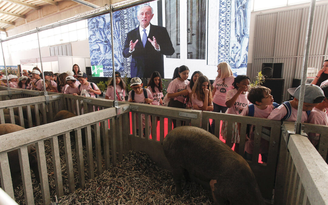 Prémio Inovação XXV Feira Nacional do Porco