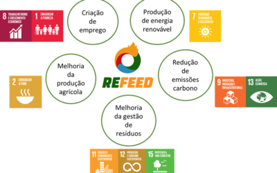 RE-FEED – Renewable Energy Production at Farm Level for Energy Efficiency and Defossilization