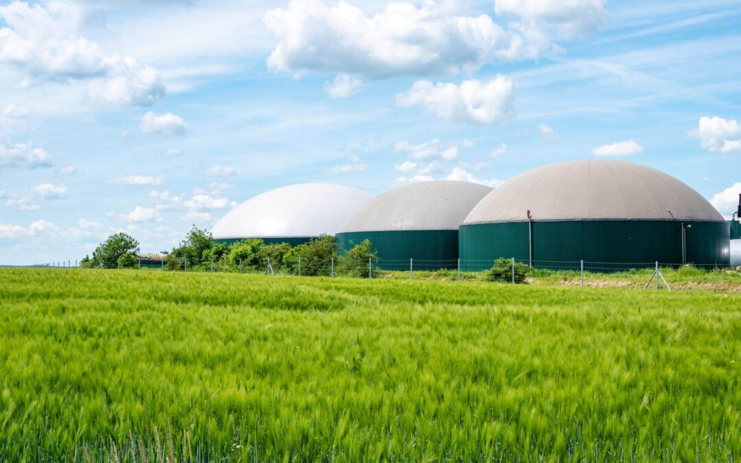 Fim do Estatuto de Resíduo (FER)