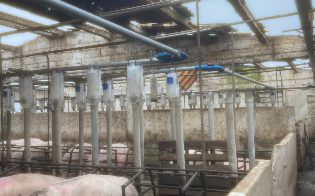 Publicada Portaria 86-A/2026/1